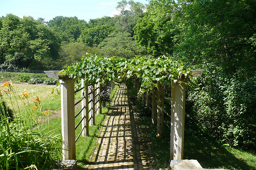 Treacherous Arbor